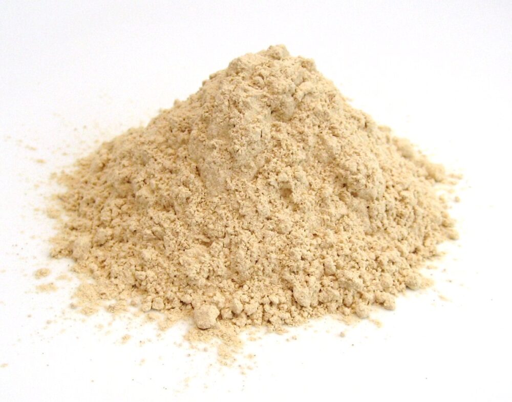 GARLIC POWDER 100G